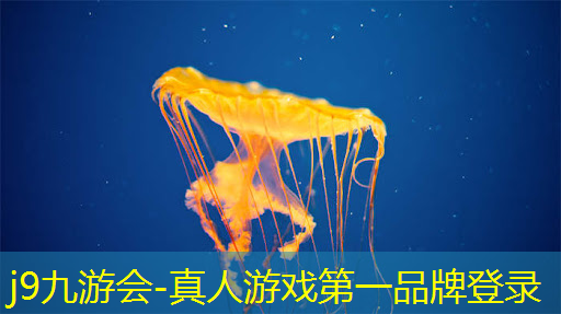 原画师和游戏建模的区别