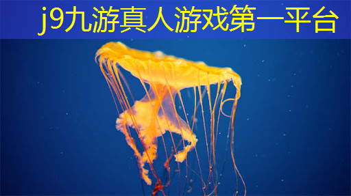 原画集发货后游戏内会收到信息吗