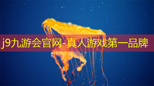 游戏ui设计简约风格推荐