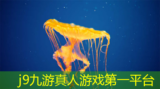 j9九游真人游戏第一品牌：根据原画制作3d角色游戏