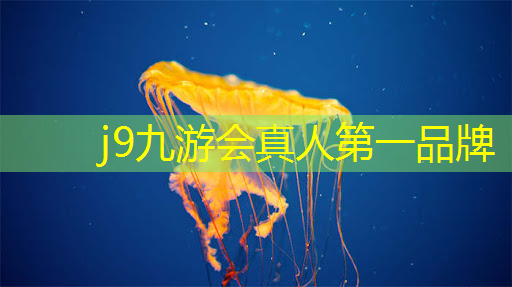 j9九游会-真人游戏第一品牌登录：怎么开通小程序和小游戏