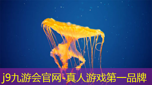 原画师和游戏建模的区别