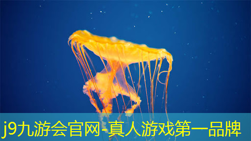 原画集发货后游戏内会收到信息吗