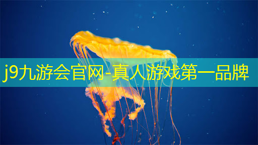 游戏原画设计技术专业学什么