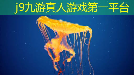 游戏ui设计简约风格推荐