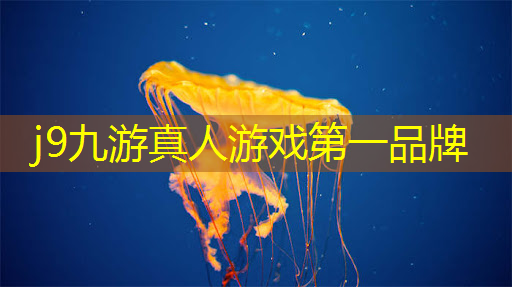 根据原画制作3d角色游戏